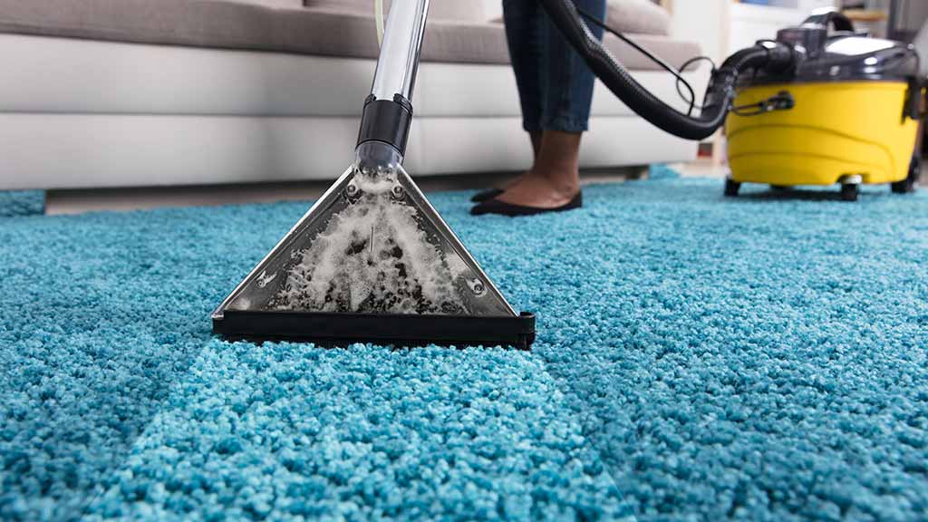 Carpet Cleaner Hire in Manchester – Professional Results at DIY Prices - Tooltap